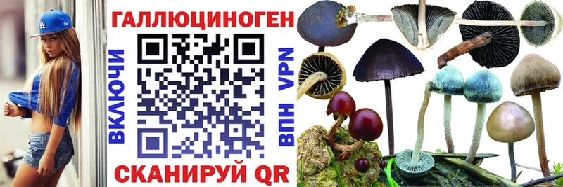 Псилоцибиновые грибы мицелий  Октябрьск 